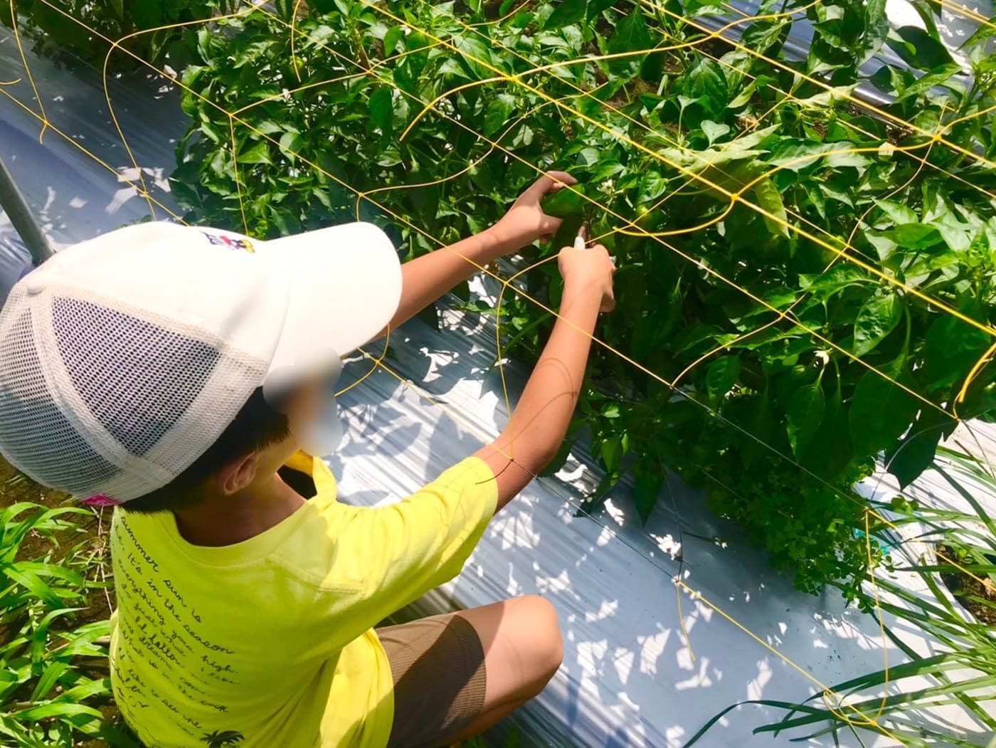 本物に触れるより実践的な支援画像