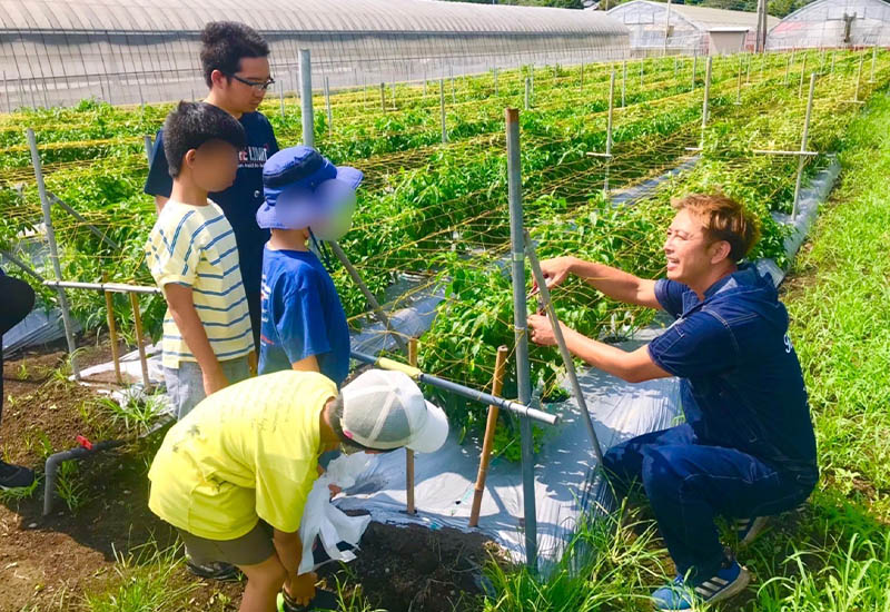 農業体験・職業体験画像